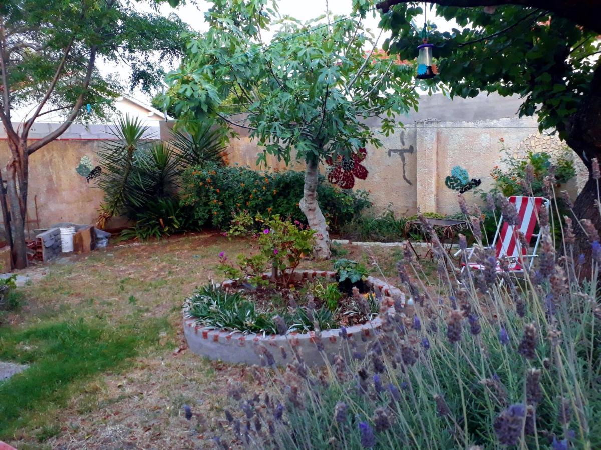 Chalet La Mambu Mar de Ajó Εξωτερικό φωτογραφία